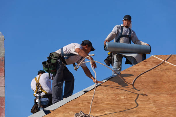 Best Gutter Installation and Roofing  in Combe, LA